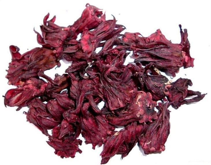 Hibiscus